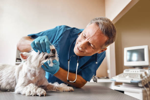 Best Emergency Tooth Extraction in Selma, TX